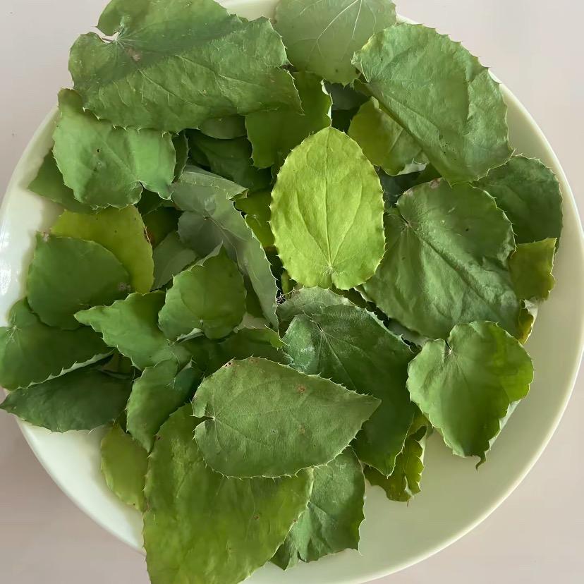 甘肃野生小圆叶三枝九叶草