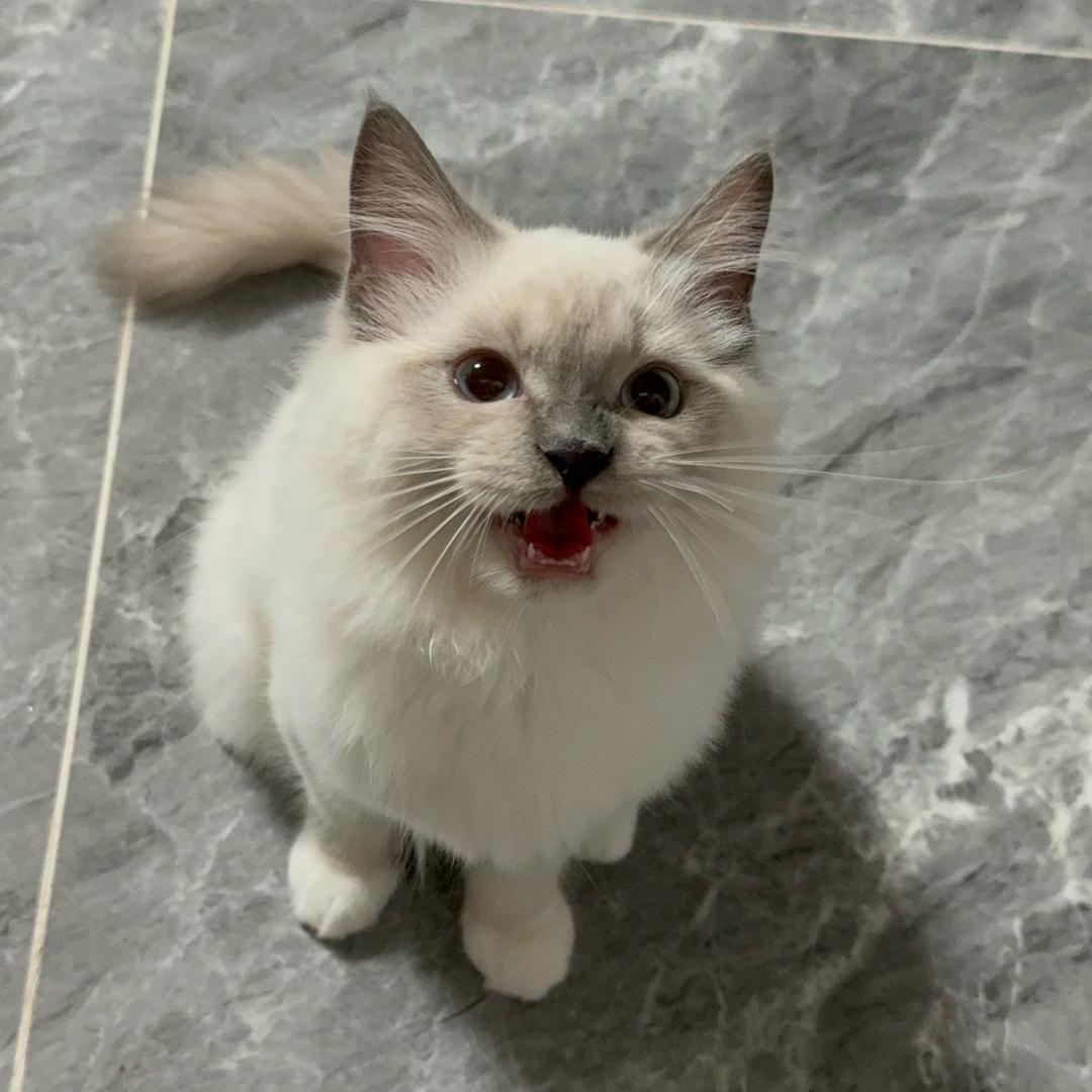 ❥ 陈果果🍒