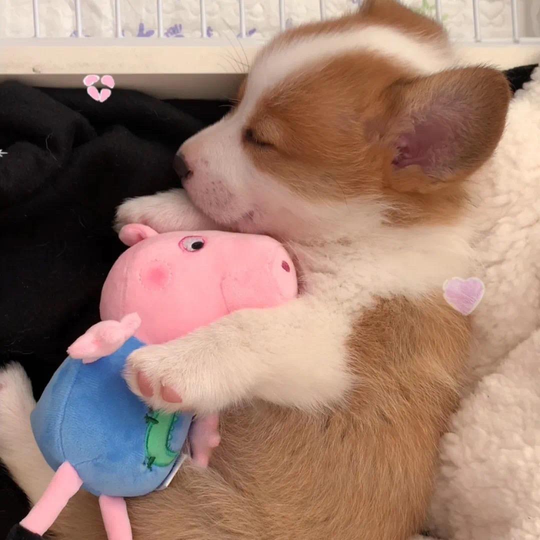 ^_^安稳灬