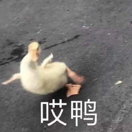 扑克儿