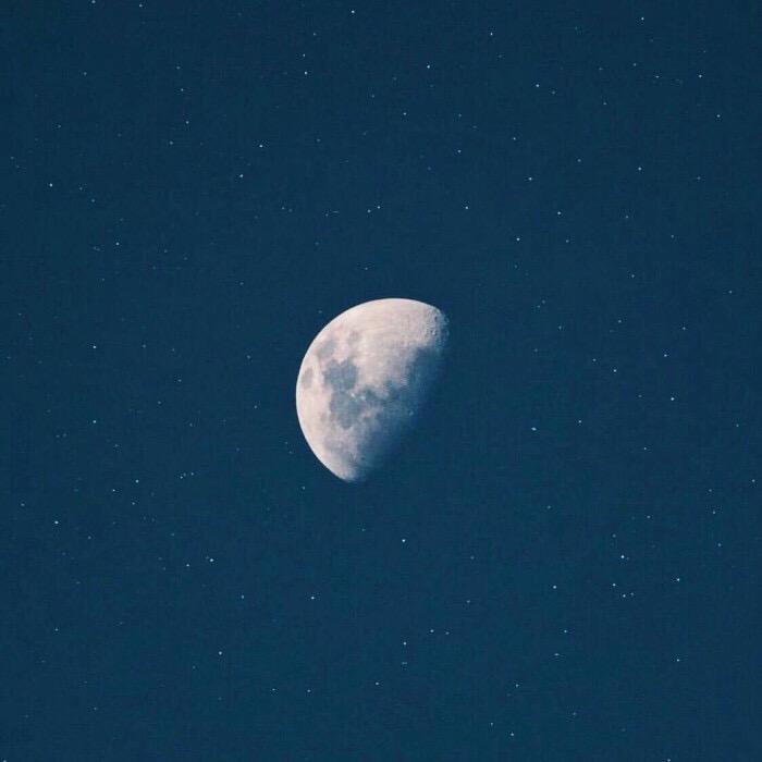 官官雎鸠