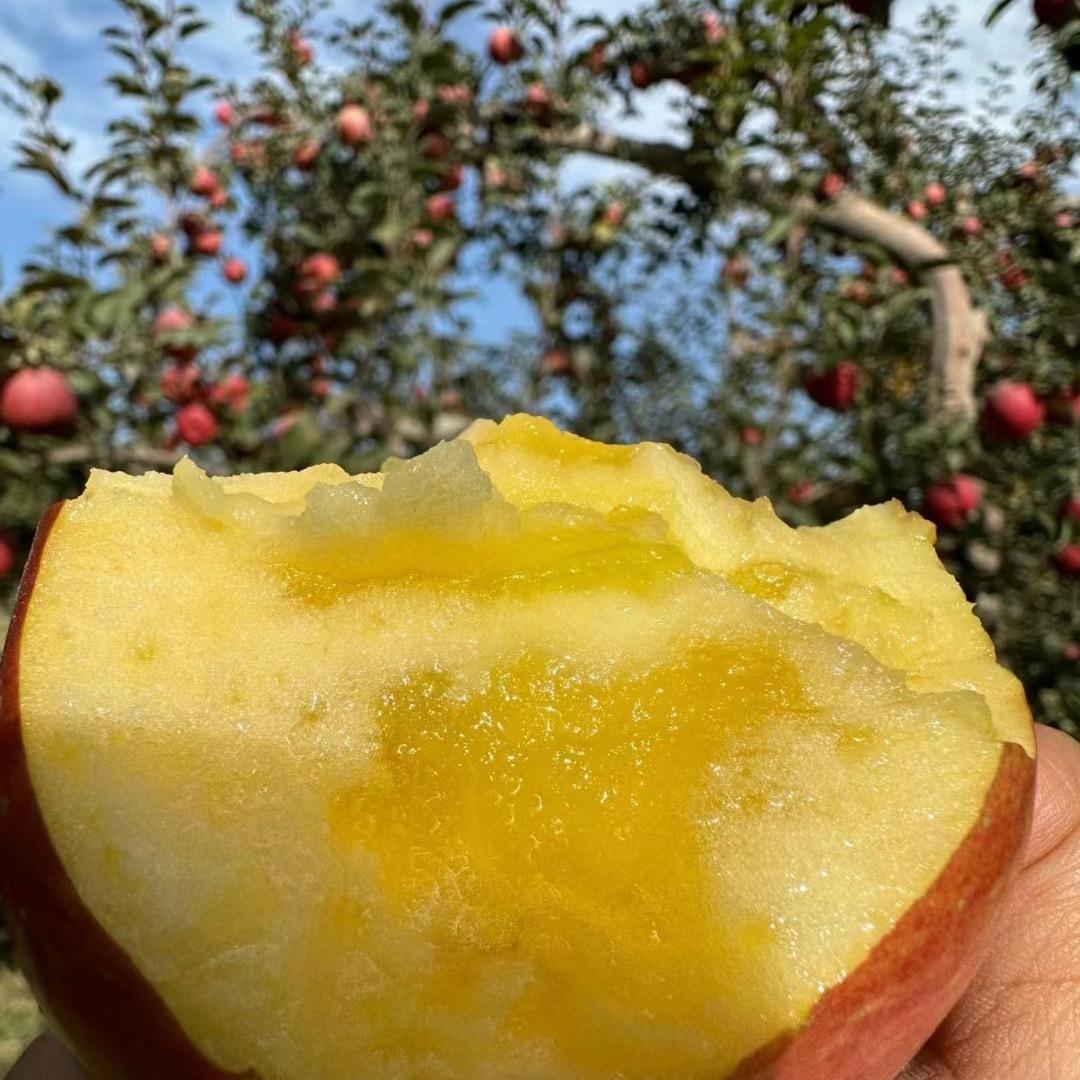 新疆冰糖心包邮