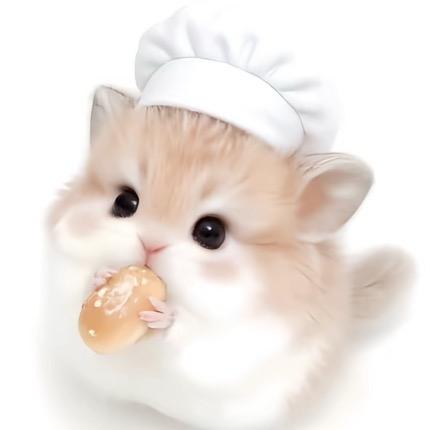不肉不肉⌯ᵔಲᵔಣ