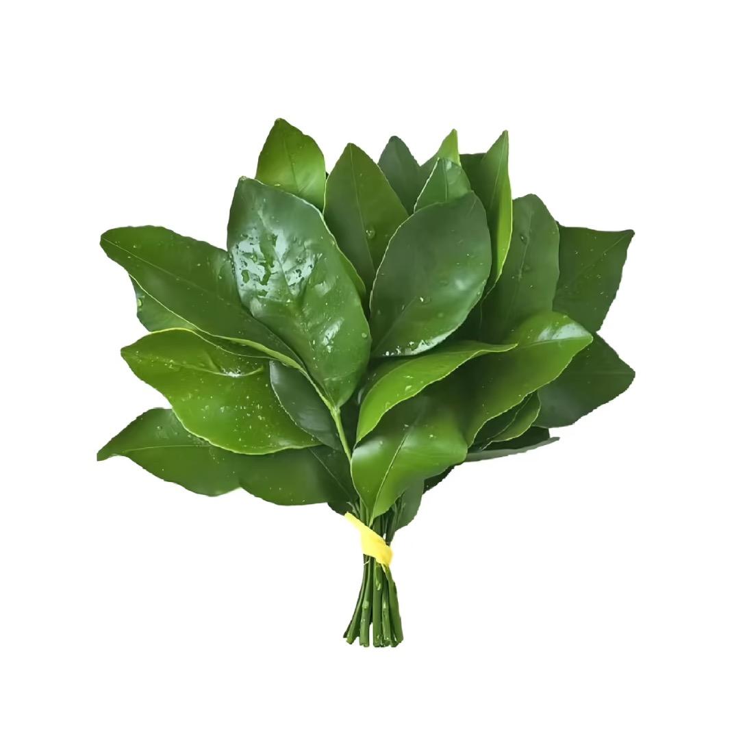 抱抱小狗