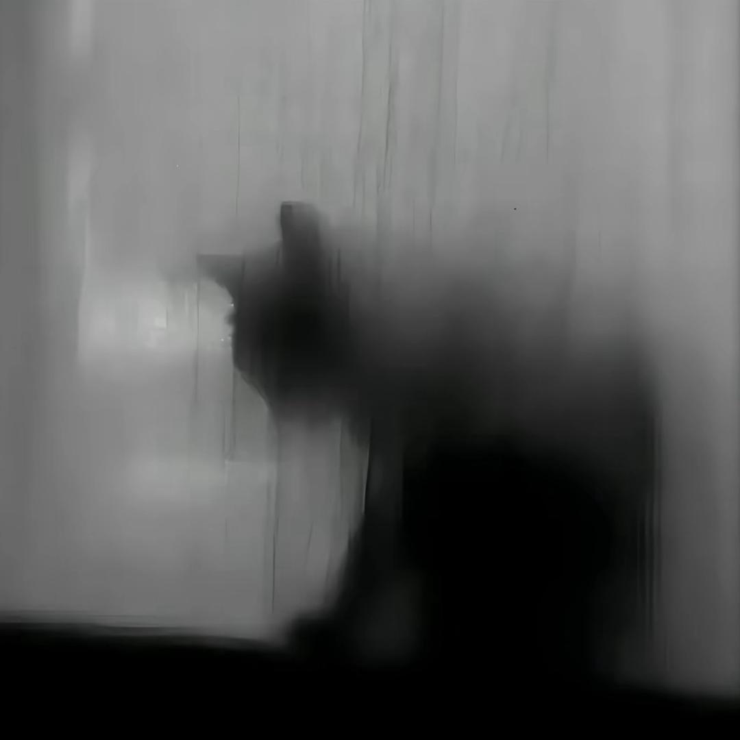 007