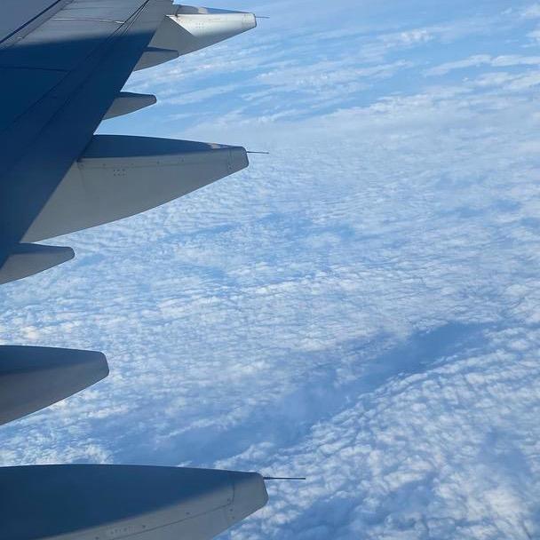 洁面球大胃袋👨‍🏫