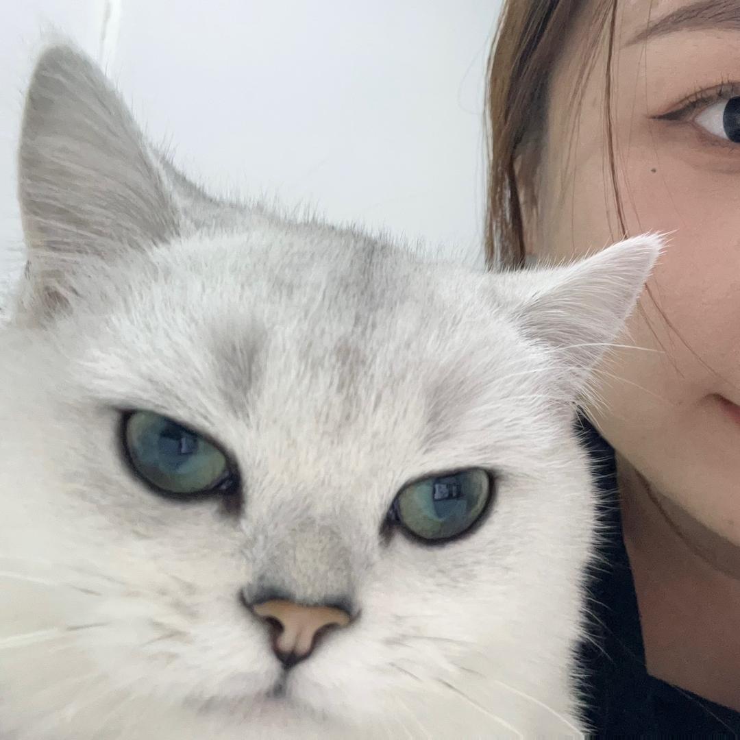 猛踹瘸子那条好腿