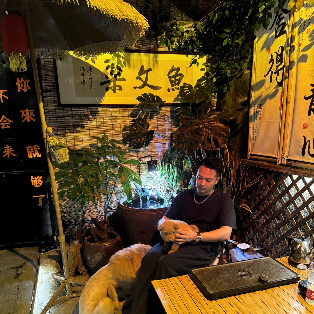 鱼文乐玩原生