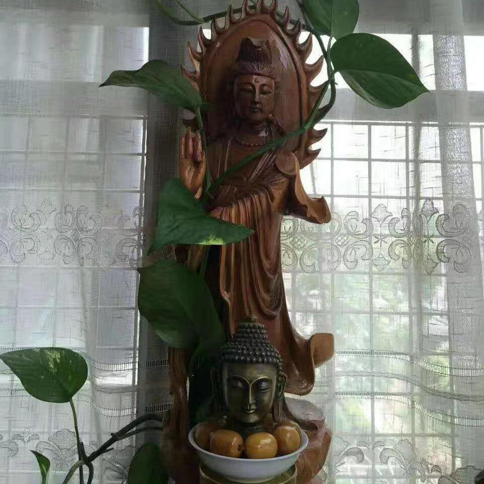 🪷静心🪷