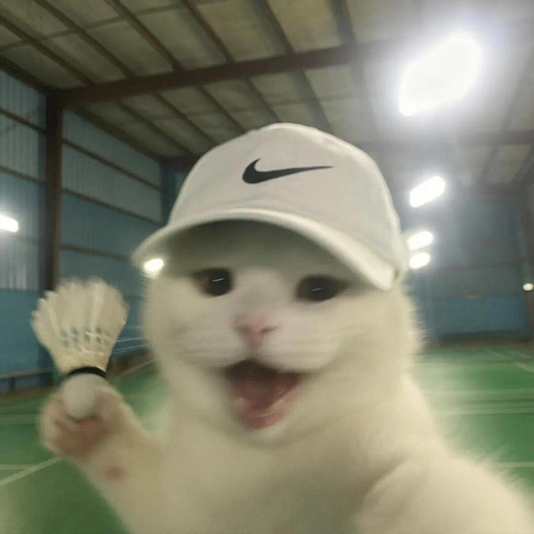 多少个秋