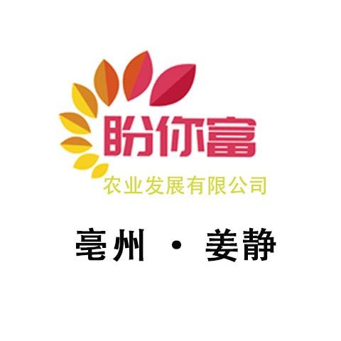 盼你富·姜老师
