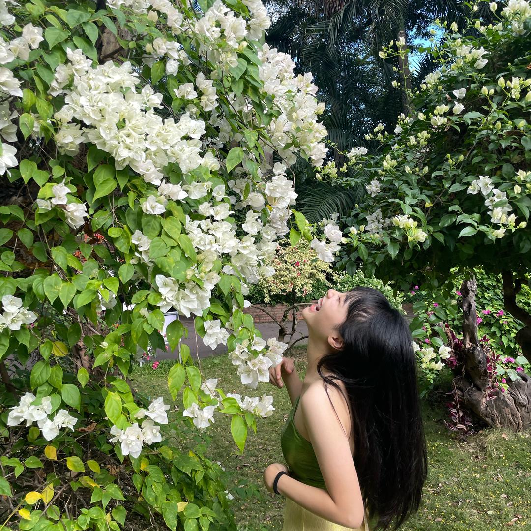 花开富贵的碎碎念