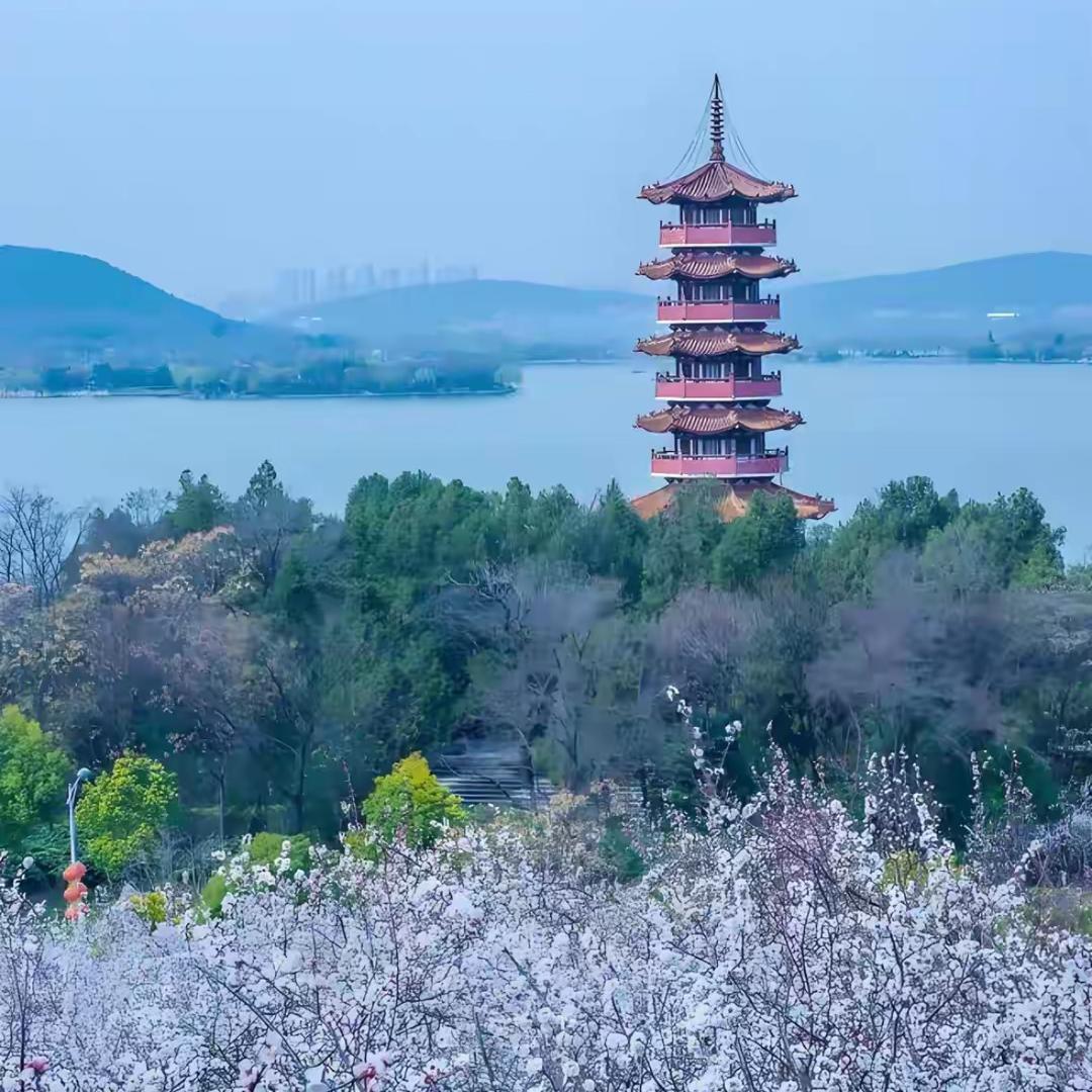 在徐州做旅游的宝儿