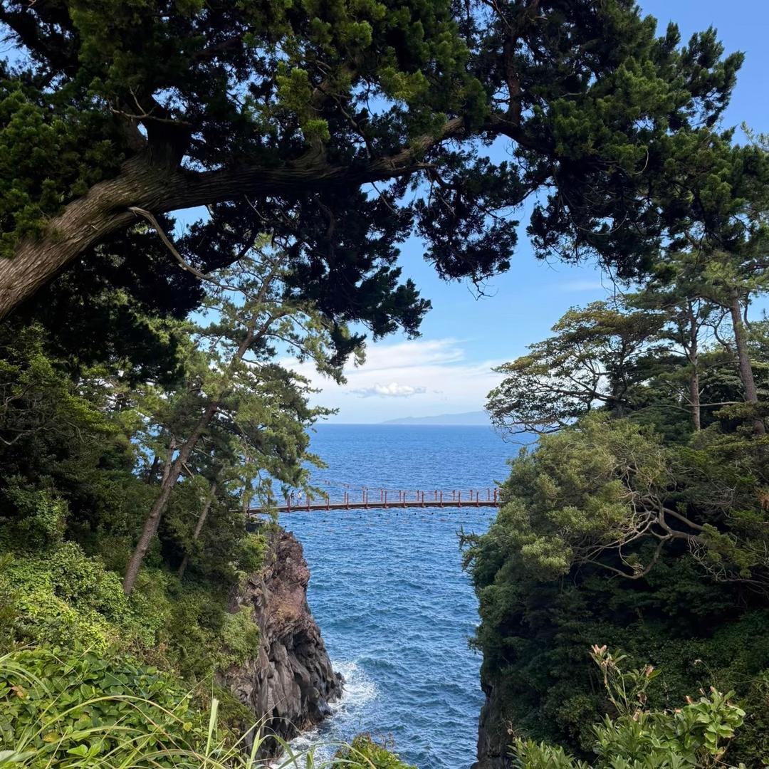 大红大紫