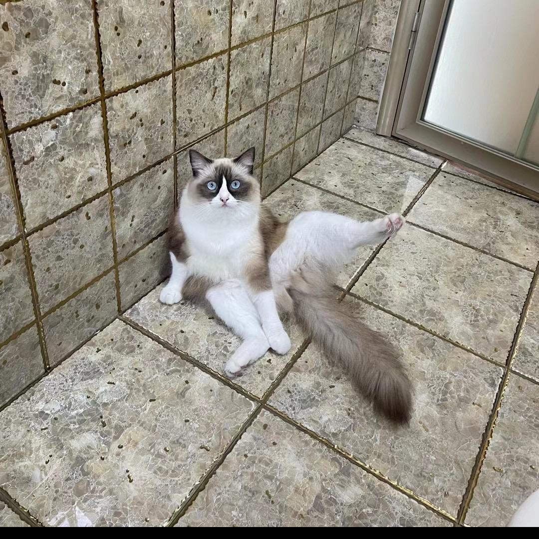 可宁吖