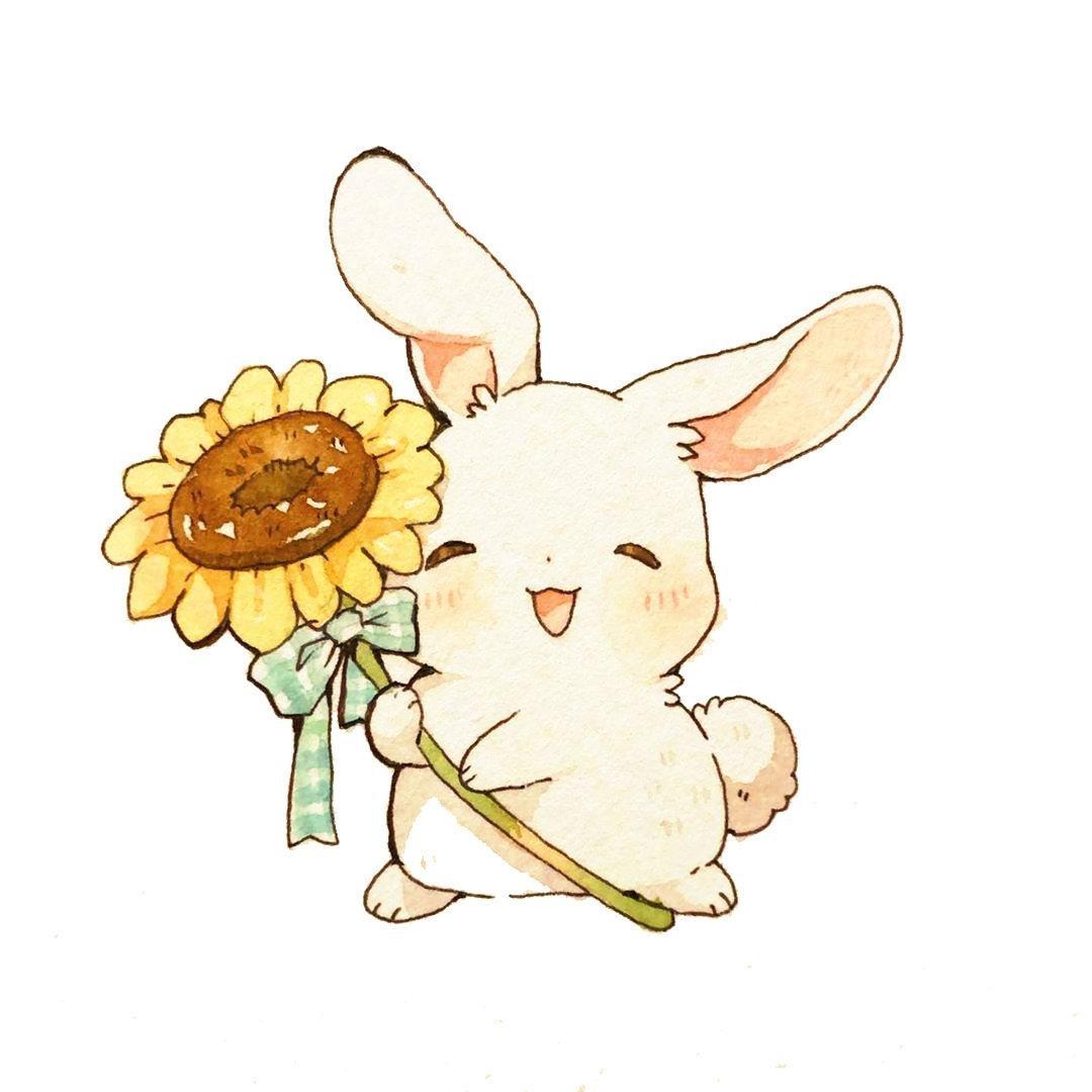 榴芒兔