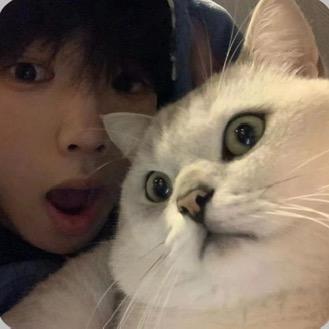 情绪总在心尖上