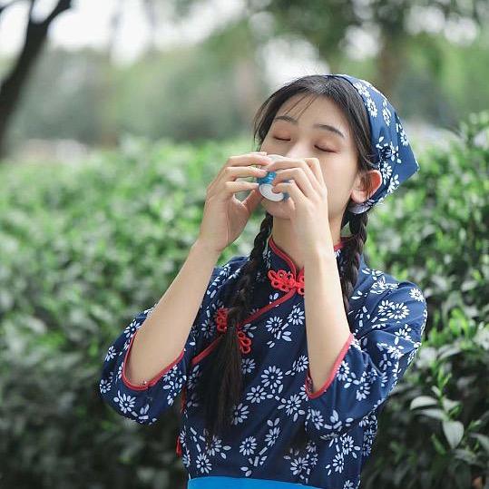 高山雀舌新茶上市