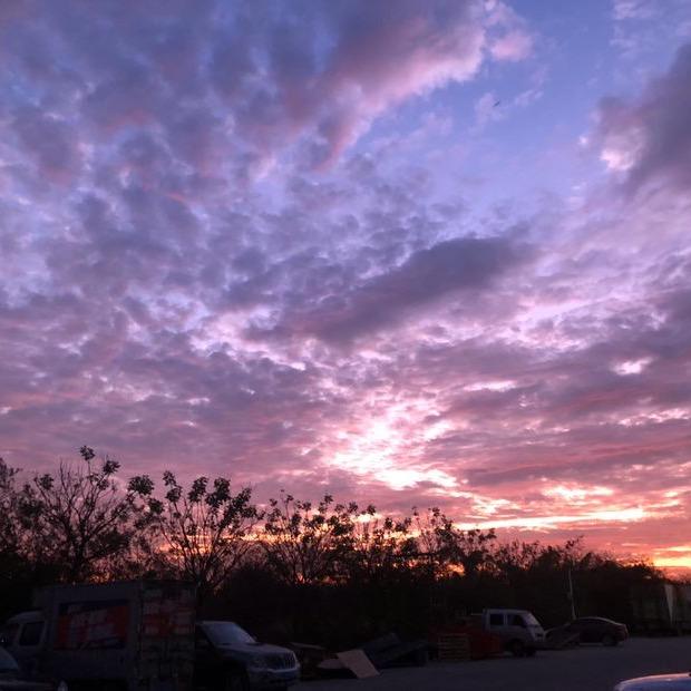 她不配与你为敌