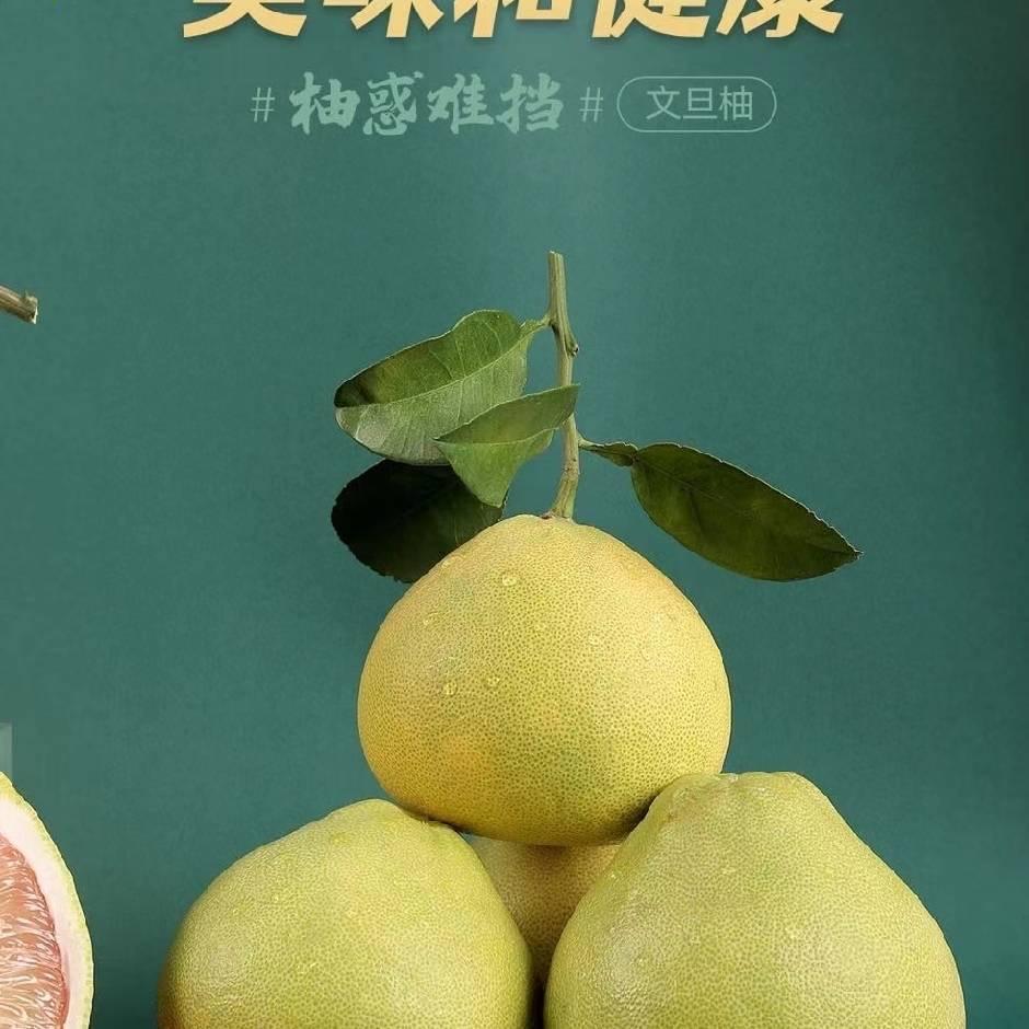 佳丰柚子基地