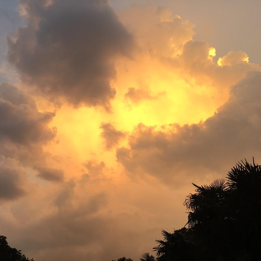 百味生活视频杂志