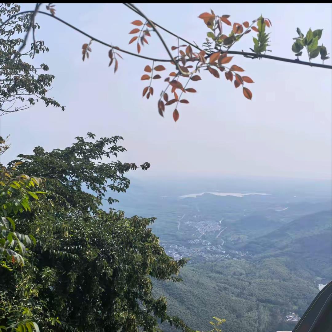 一生所爱.