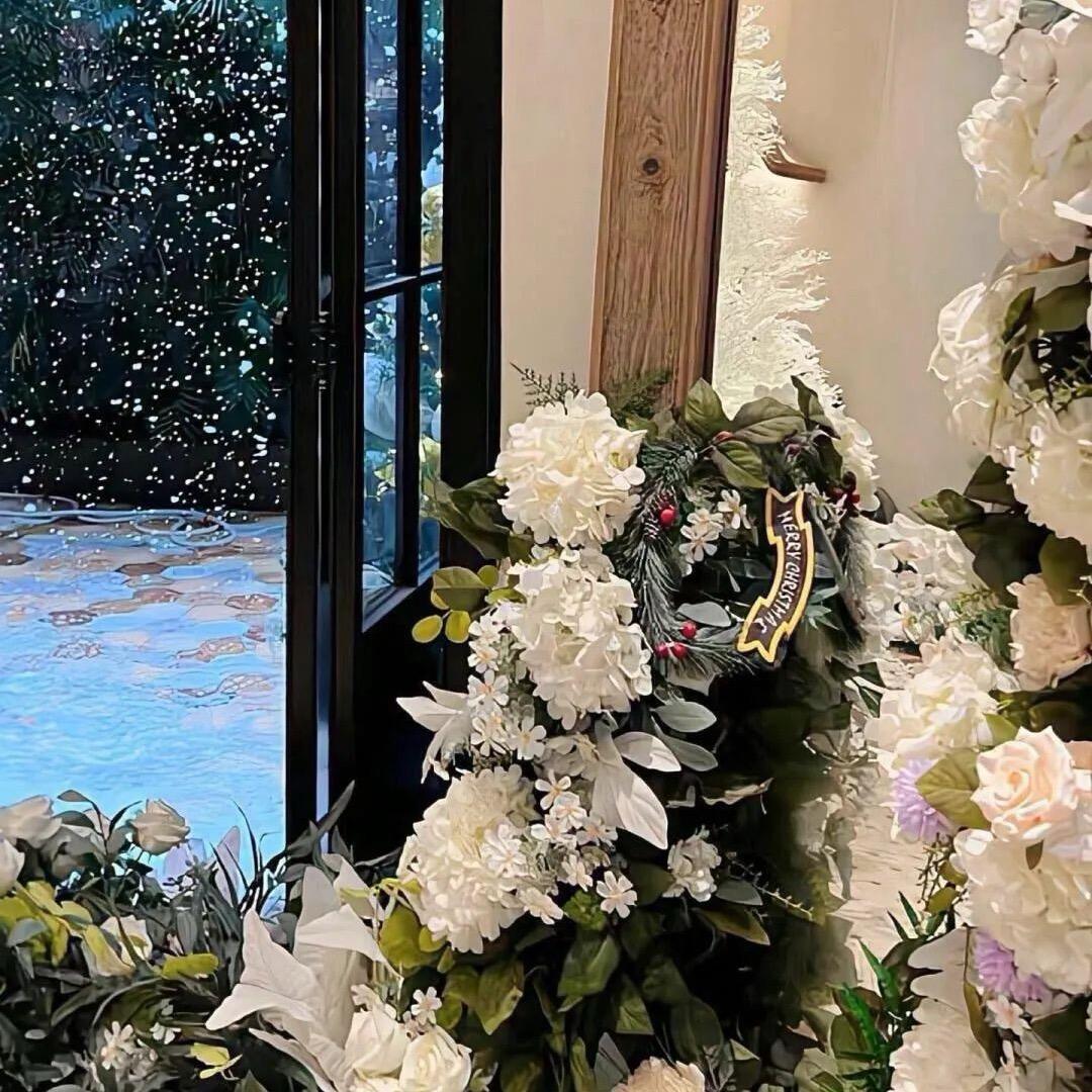 青青草原的小羊