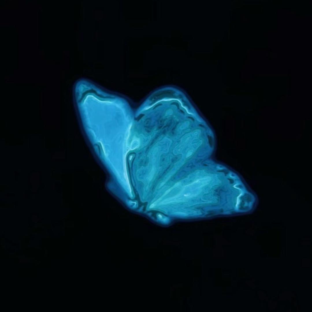 zzx_