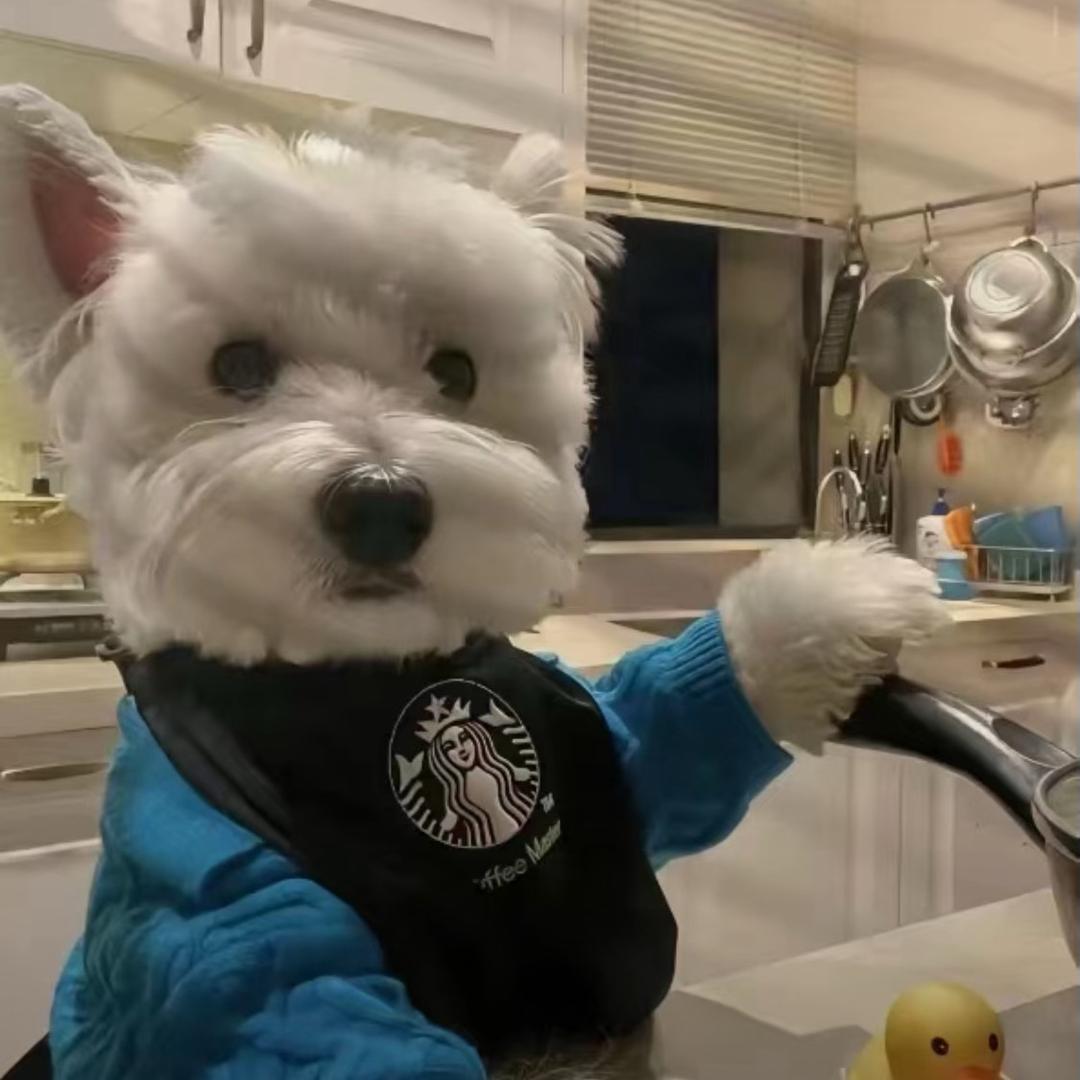 狗蛋大王🐶