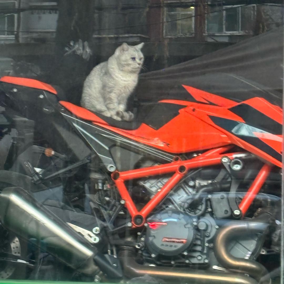 重生之 我在兰州卖CFMOTO