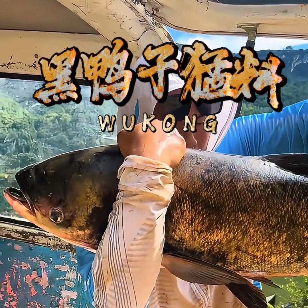黑鸭子猛料