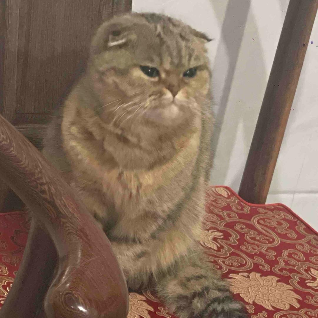 奇点