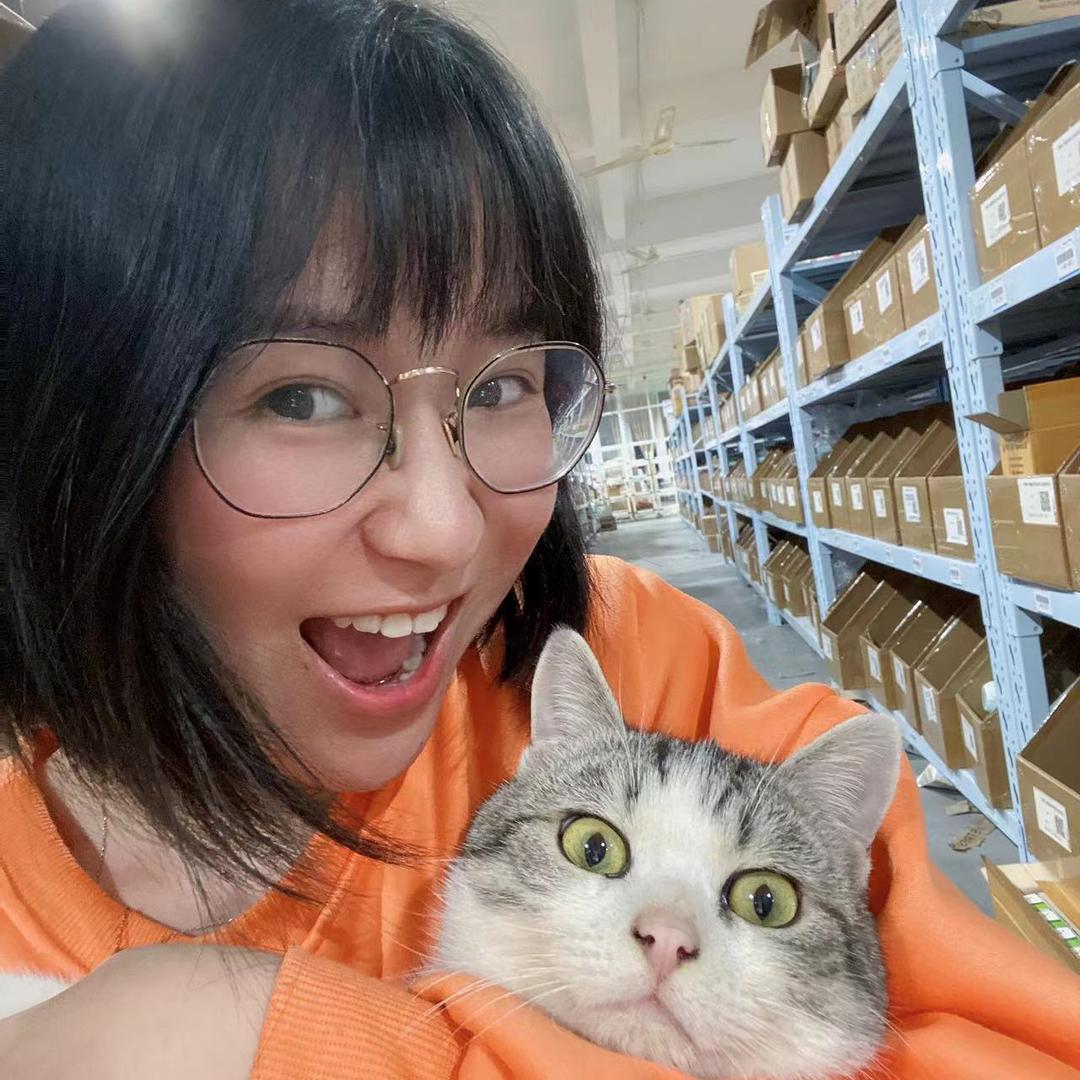 猫贵妃