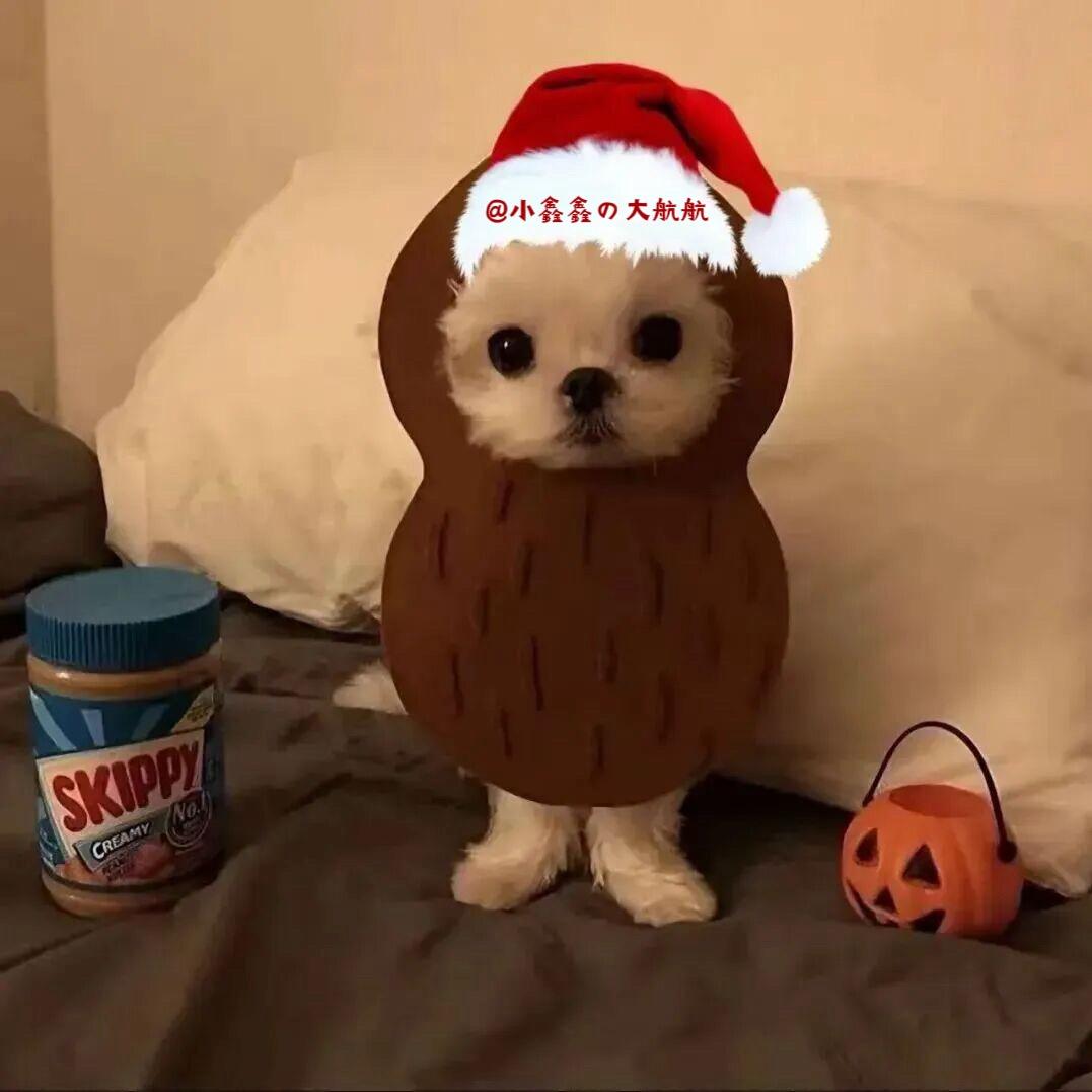 h.