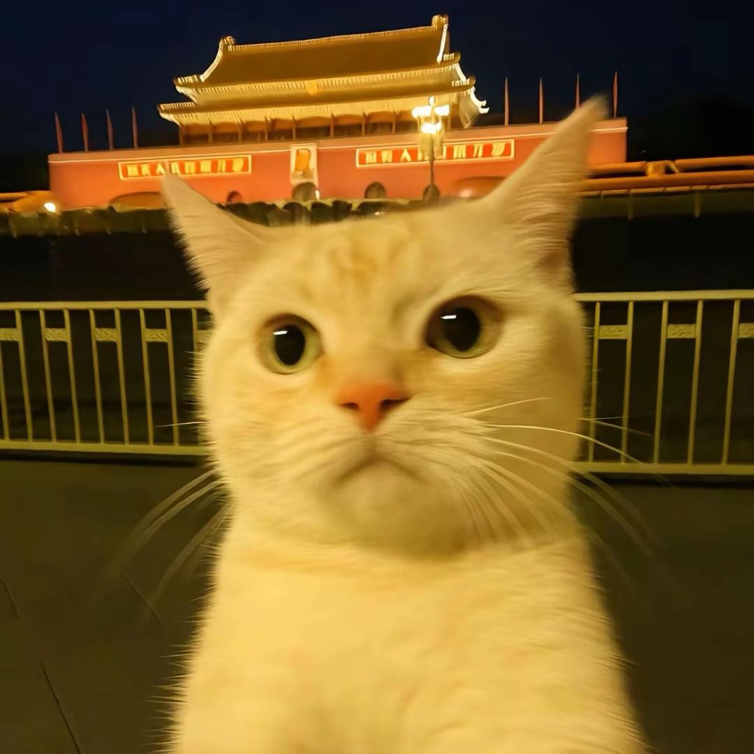 沫安♍️