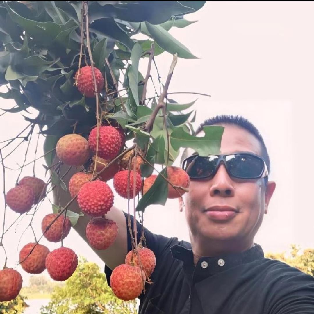 某粉别来恶心人