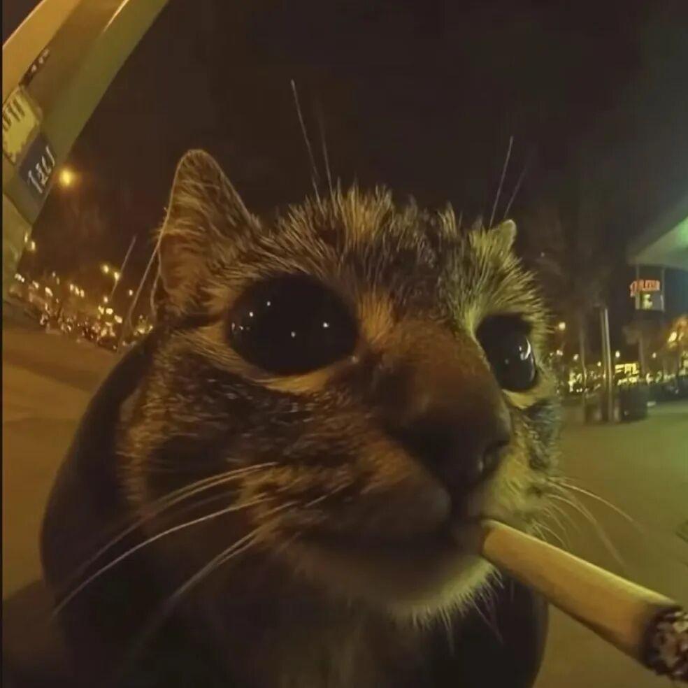 葡萄成熟时