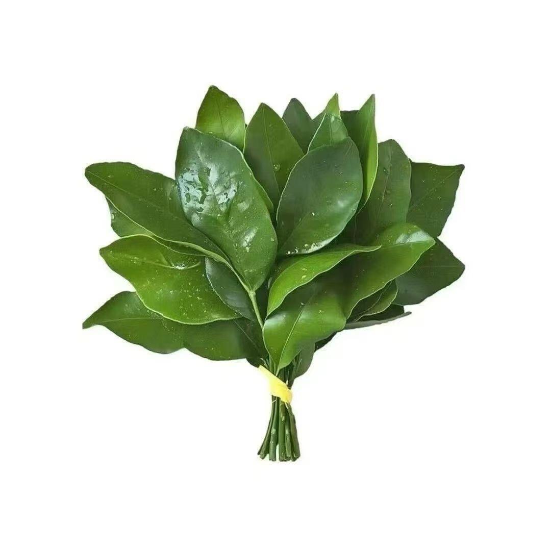 七七爱生活