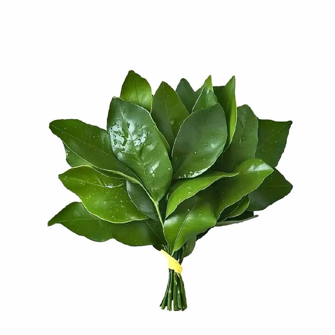 别叭叭