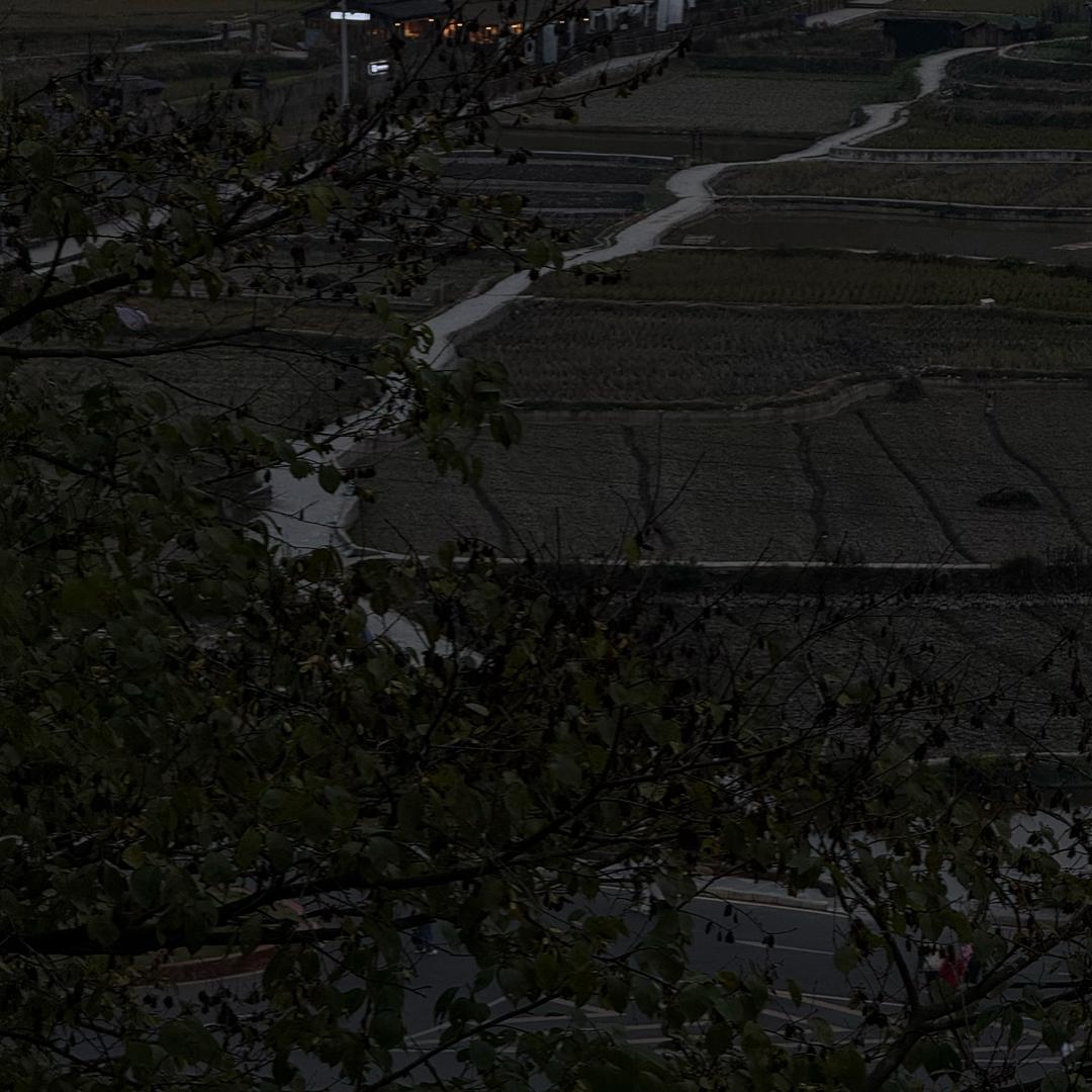 居里居外