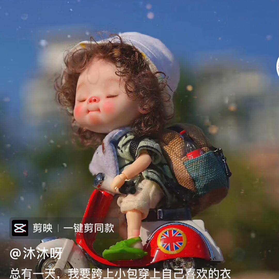 与狼共舞