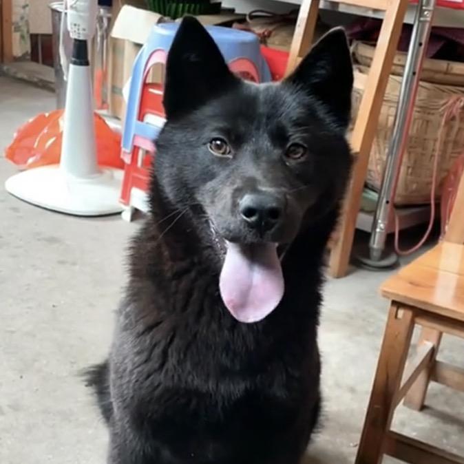 农村李表弟