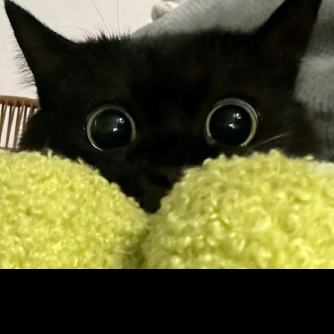 犯瞌睡