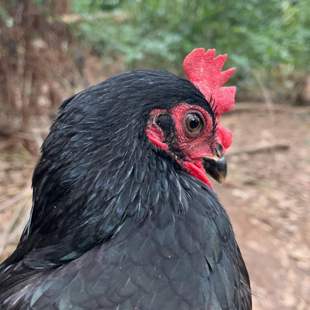阿坤的一家