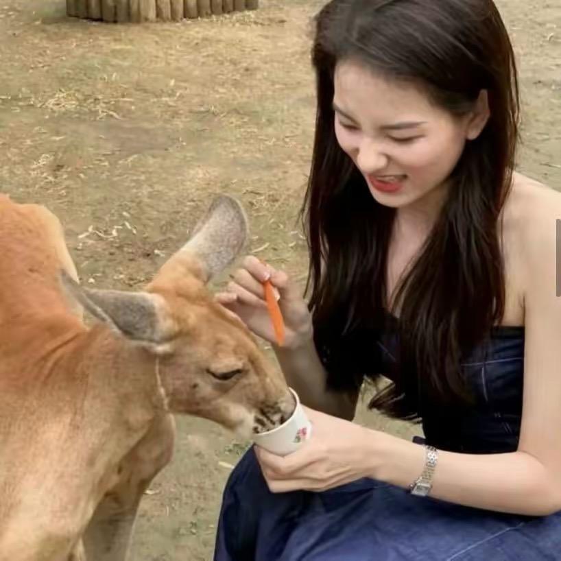 我不会生气🐽