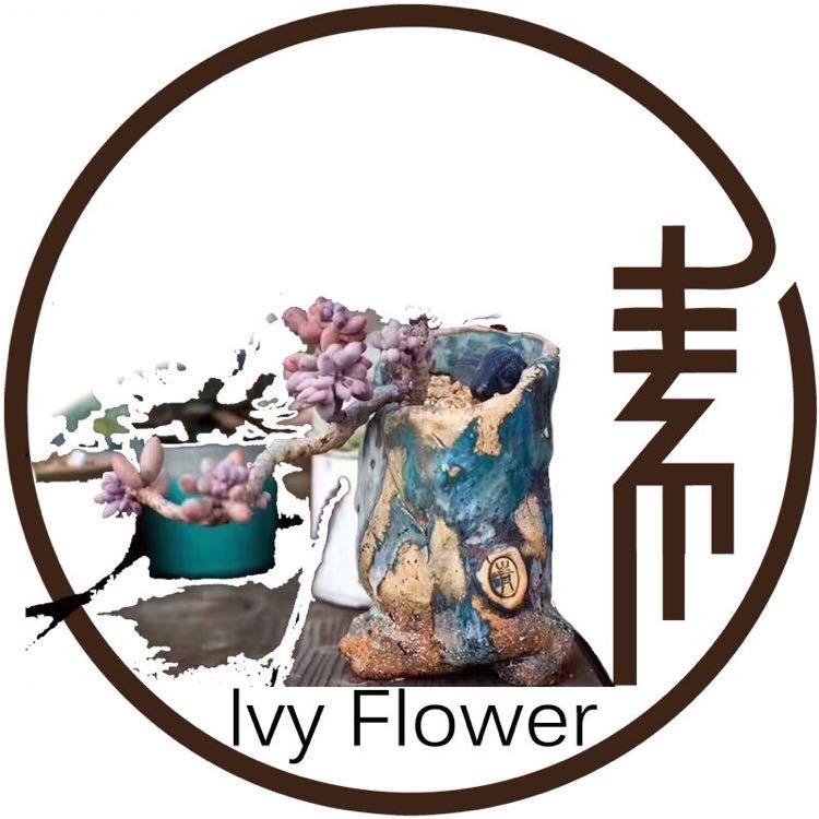 青藤花器多肉花盆