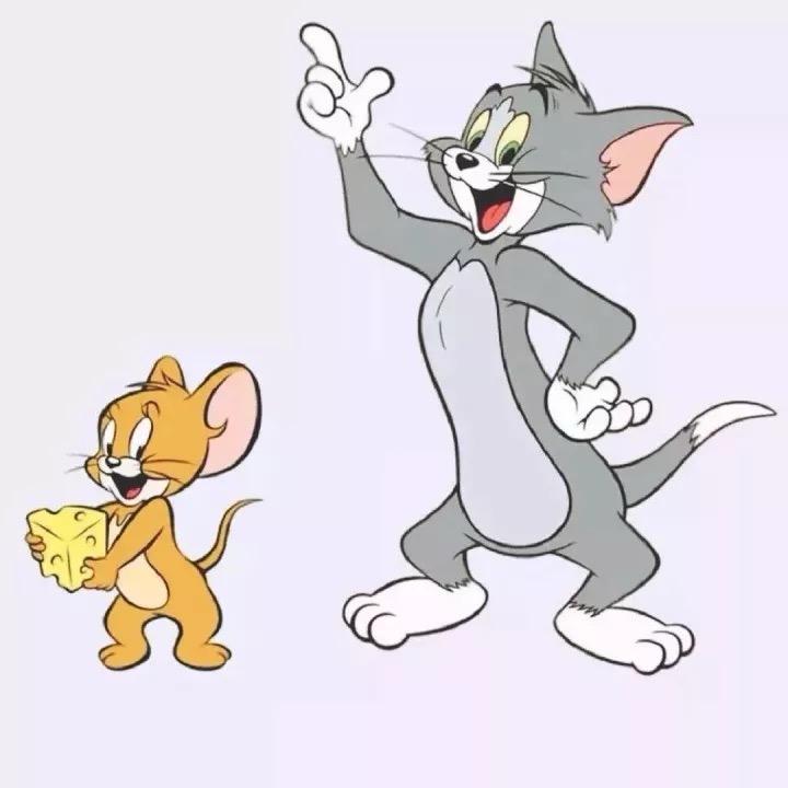 吃曲奇的饼干🍪