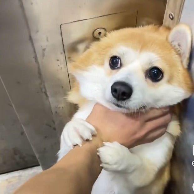 外贸小李