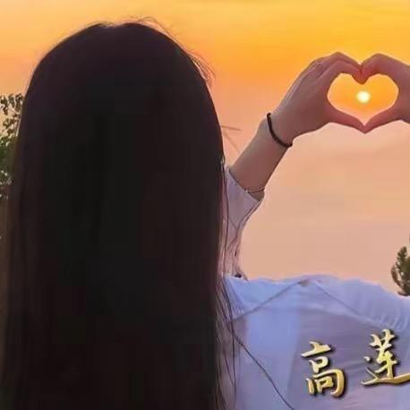 高莲