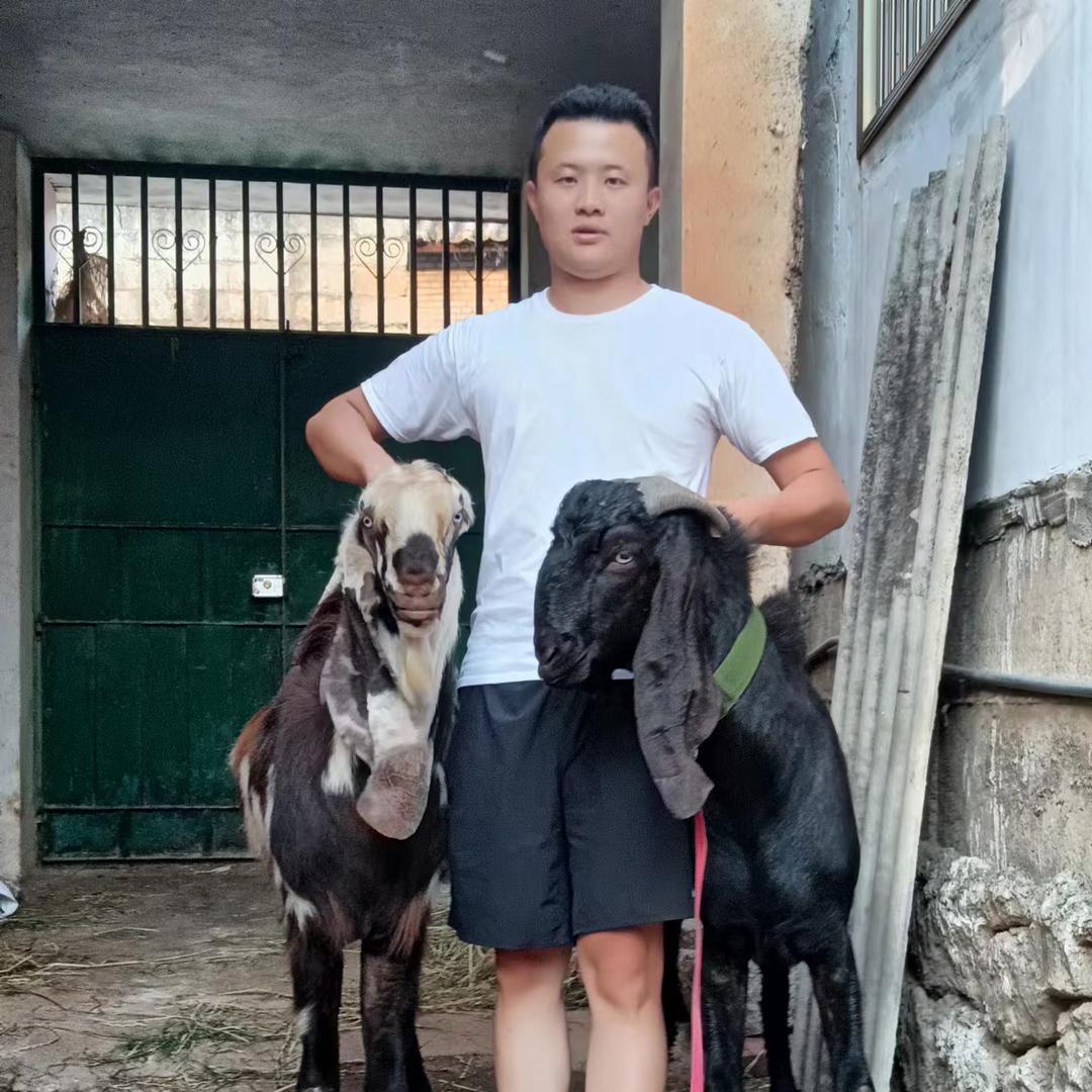 东川.小扯闪